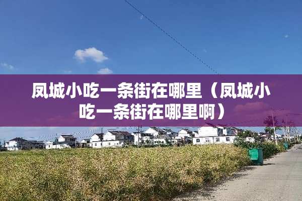 凤城小吃一条街在哪里（凤城小吃一条街在哪里啊）