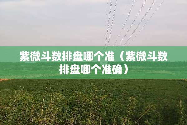 紫微斗数排盘哪个准（紫微斗数排盘哪个准确）