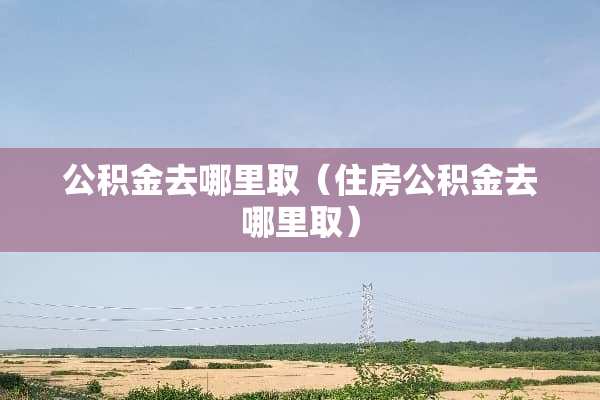 公积金去哪里取（住房公积金去哪里取）
