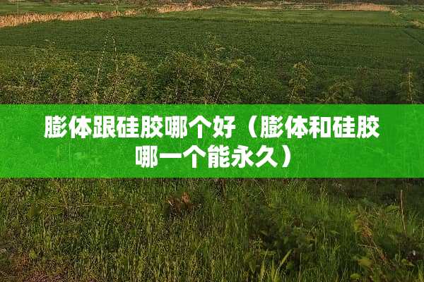 膨体跟硅胶哪个好（膨体和硅胶哪一个能永久）