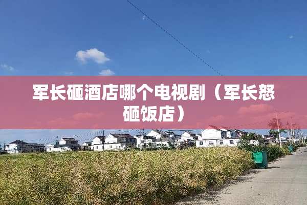 军长砸酒店哪个电视剧（军长怒砸饭店）