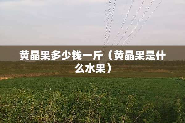 黄晶果多少钱一斤（黄晶果是什么水果）