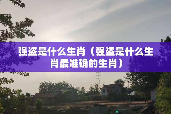 强盗是什么生肖（强盗是什么生肖最准确的生肖）