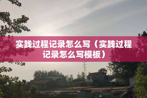 实践过程记录怎么写（实践过程记录怎么写模板）
