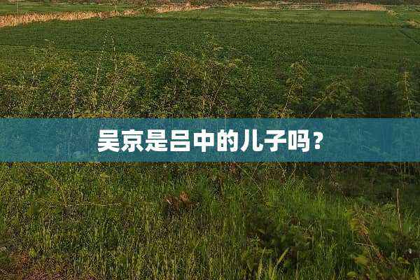 吴京是吕中的儿子吗？