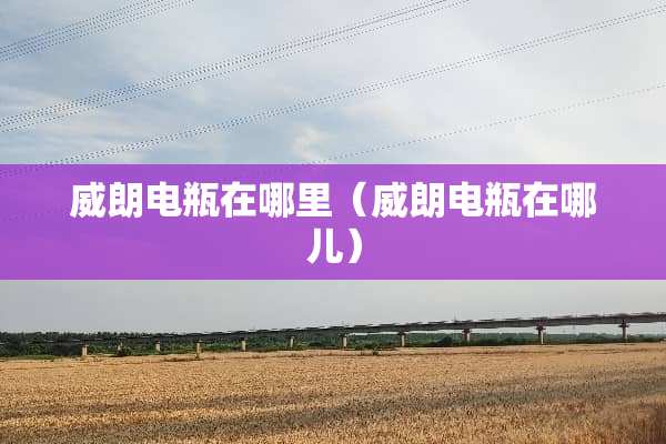 威朗电瓶在哪里（威朗电瓶在哪儿）