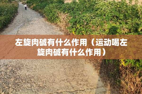 左旋肉碱有什么作用（运动喝左旋肉碱有什么作用）