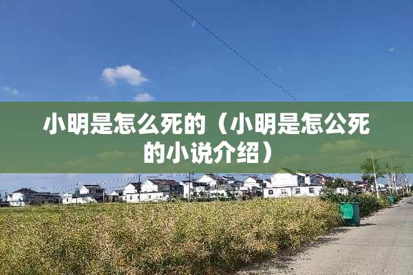 小明是怎么死的（小明是怎公死的小说介绍）