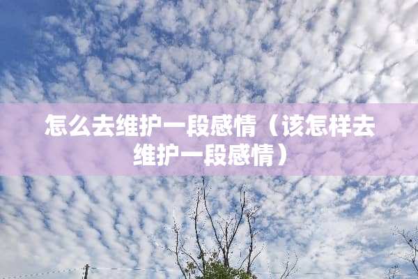怎么去维护一段感情（该怎样去维护一段感情）