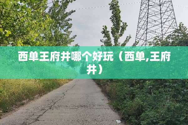 西单王府井哪个好玩（西单,王府井）