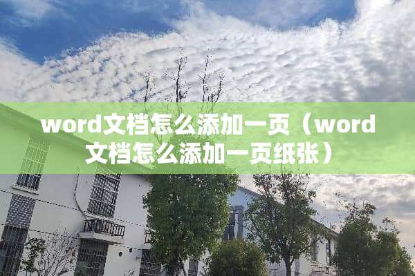 word文档怎么添加一页（word文档怎么添加一页纸张）