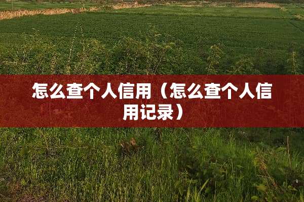 怎么查个人信用（怎么查个人信用记录）
