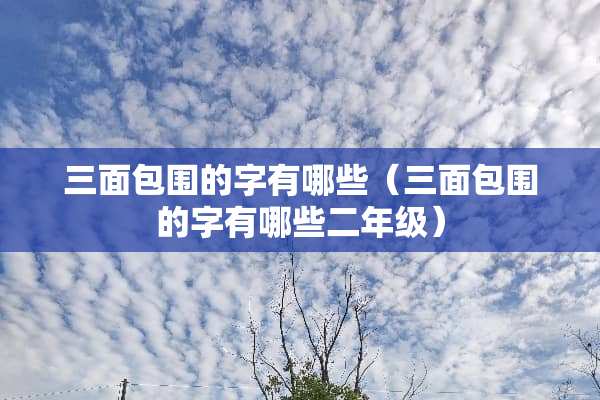 三面包围的字有哪些（三面包围的字有哪些二年级）