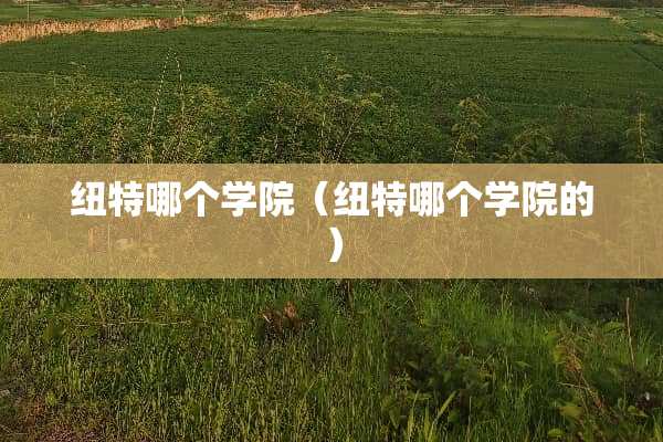纽特哪个学院（纽特哪个学院的）