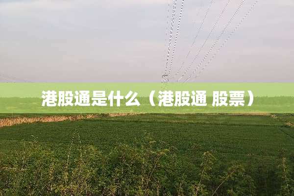 港股通是什么（港股通 股票）