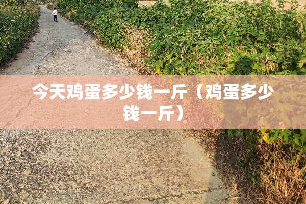 今天鸡蛋多少钱一斤（鸡蛋多少钱一斤）