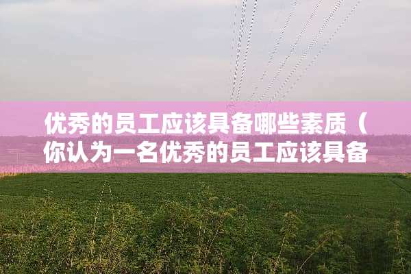 优秀的员工应该具备哪些素质（你认为一名优秀的员工应该具备哪些素质）