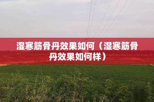 湿寒筋骨丹效果如何（湿寒筋骨丹效果如何样）