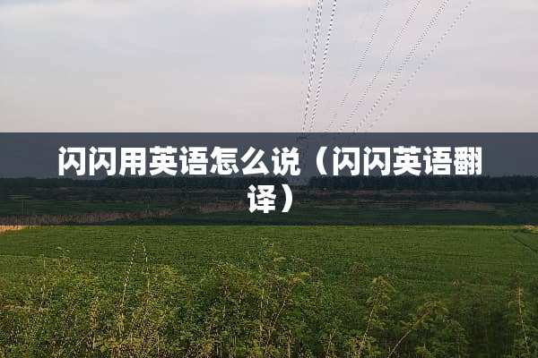 闪闪用英语怎么说（闪闪英语翻译）