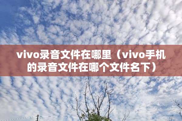 vivo录音文件在哪里（vivo手机的录音文件在哪个文件名下）