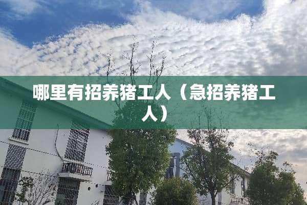 哪里有招养猪工人（急招养猪工人）