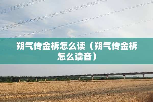 朔气传金柝怎么读（朔气传金柝怎么读音）