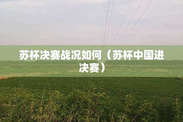 苏杯决赛战况如何（苏杯中国进决赛）