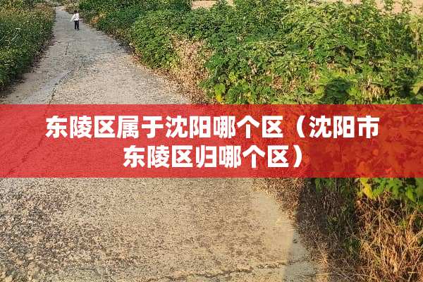 东陵区属于沈阳哪个区（沈阳市东陵区归哪个区）