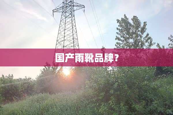 国产雨靴品牌？