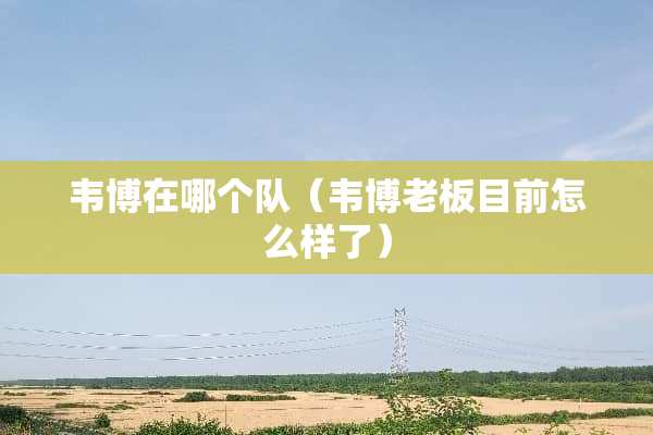 韦博在哪个队（韦博老板目前怎么样了）