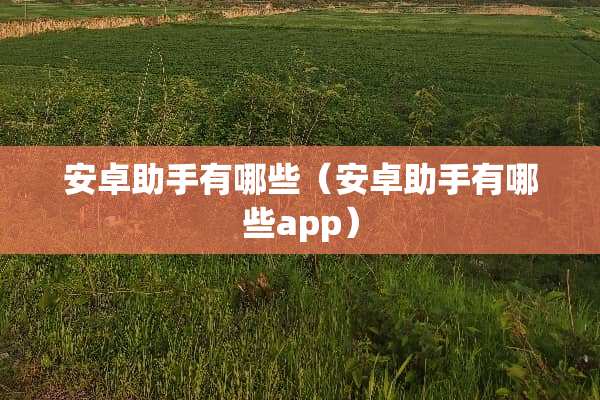 安卓助手有哪些（安卓助手有哪些app）