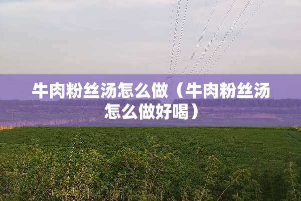 牛肉粉丝汤怎么做（牛肉粉丝汤怎么做好喝）