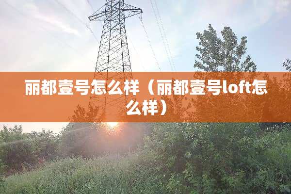 丽都壹号怎么样（丽都壹号loft怎么样）