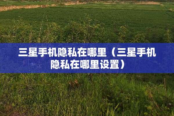 三星手机隐私在哪里（三星手机隐私在哪里设置）