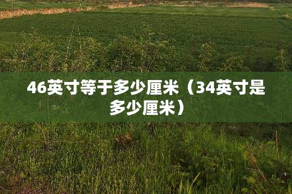 46英寸等于多少厘米（34英寸是多少厘米）