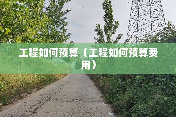 工程如何预算（工程如何预算费用）