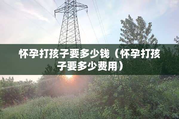 怀孕打孩子要多少钱（怀孕打孩子要多少费用）