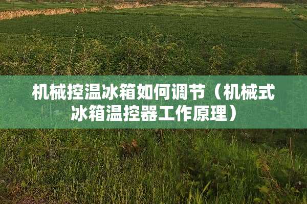机械控温冰箱如何调节（机械式冰箱温控器工作原理）