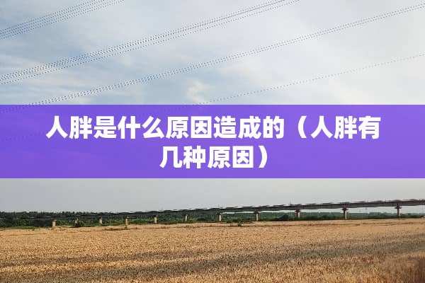 人胖是什么原因造成的（人胖有几种原因）