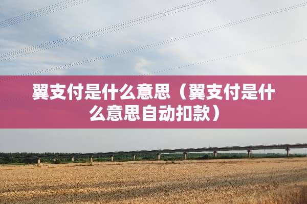 翼支付是什么意思（翼支付是什么意思自动扣款）