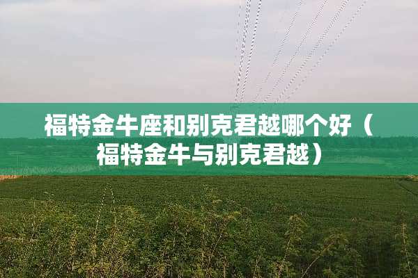 福特金牛座和别克君越哪个好（福特金牛与别克君越）