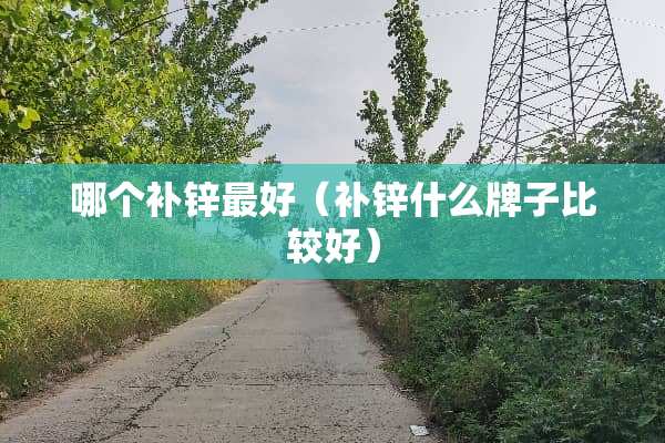 哪个补锌最好（补锌什么牌子比较好）