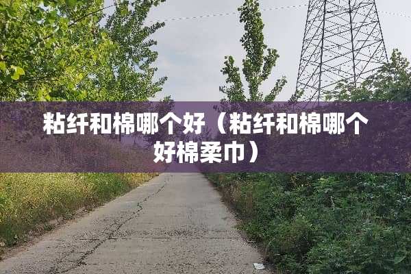 粘纤和棉哪个好（粘纤和棉哪个好棉柔巾）
