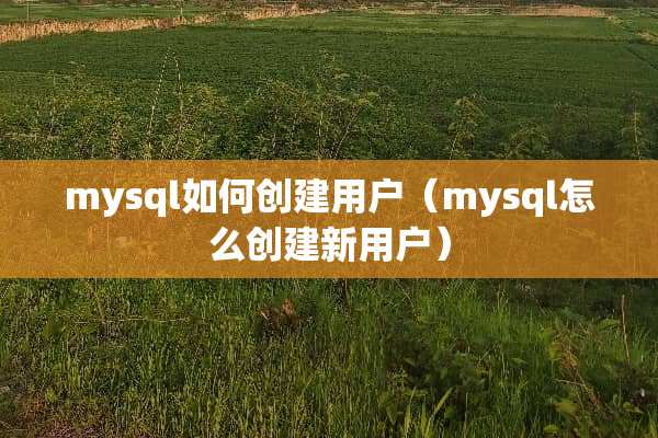 mysql如何创建用户（mysql怎么创建新用户）