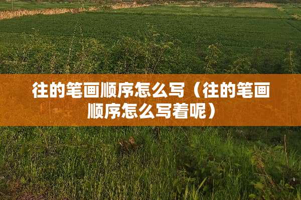 往的笔画顺序怎么写（往的笔画顺序怎么写着呢）