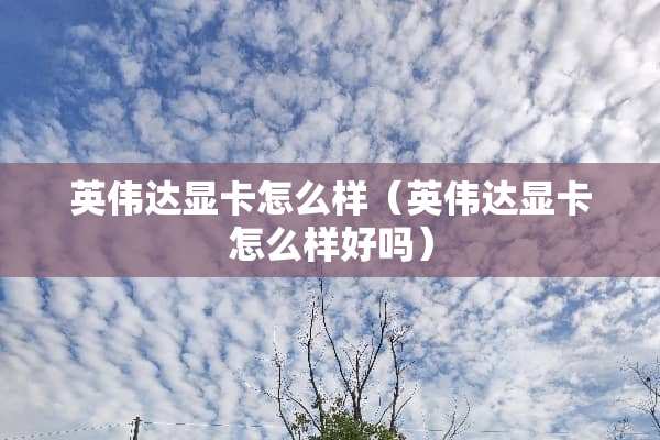 英伟达显卡怎么样（英伟达显卡怎么样好吗）