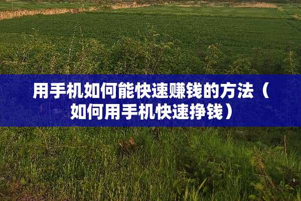 用手机如何能快速赚钱的方法（如何用手机快速挣钱）