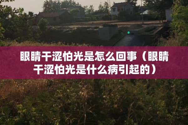 眼睛干涩怕光是怎么回事（眼睛干涩怕光是什么病引起的）