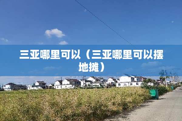 三亚哪里可以（三亚哪里可以摆地摊）