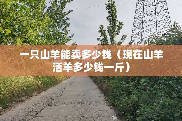 一只山羊能卖多少钱（现在山羊活羊多少钱一斤）